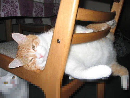 开云体育入口-当恩比德空降CBA之夜，一尊大神如何让悬念提前终结？